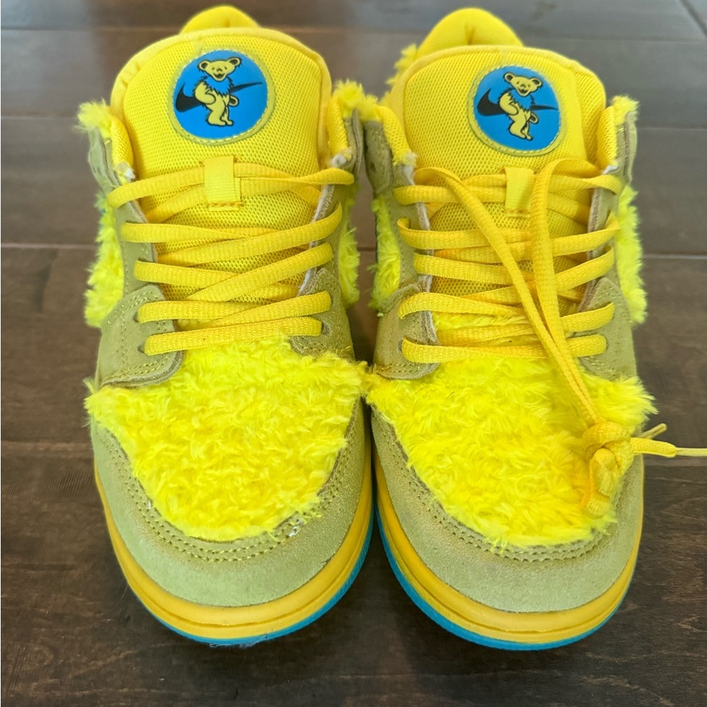 Nike SB Dunk Low never worn